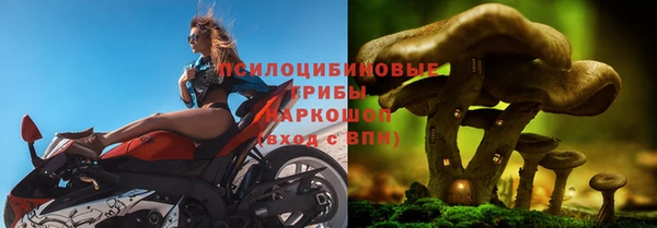 амф Новый Уренгой