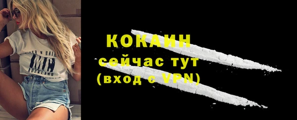 твердый Богданович