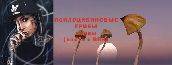дурь Долгопрудный