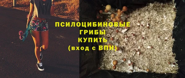 дурь Бугульма