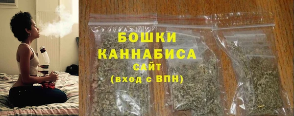 прущие крисы Бородино