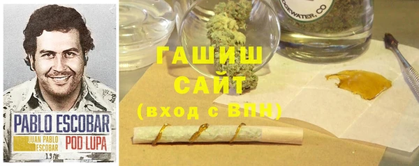 прущие крисы Бородино