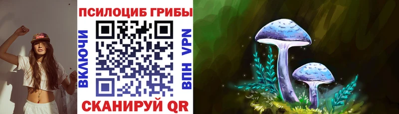 mega зеркало  Видное  Псилоцибиновые грибы ЛСД 