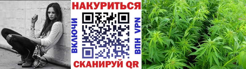 мега tor  Видное  Шишки марихуана Amnesia 